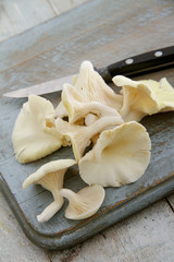 fresh uncooked mushrooms