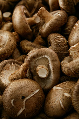 Fototapeta premium fresh uncooked mushrooms