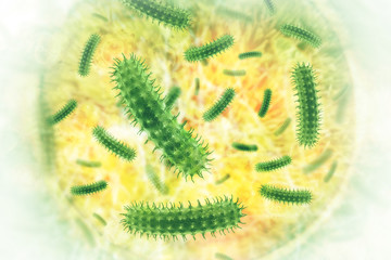 Bacteria on scientific background
