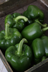 preparing fresh peppers