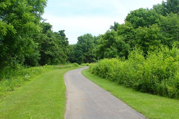 The winding pathway in the green grass landscape of park.