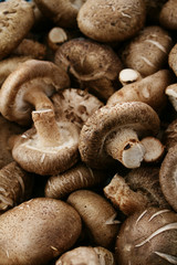 fresh uncooked mushrooms