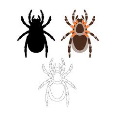 spider  vector illustration flat style front side coloring 