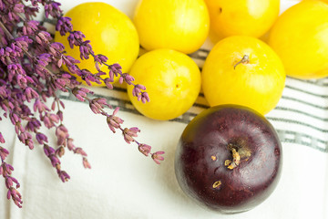 Pile of ripe juicy organic yellow red plums bouquet of lavender flowers on white cotton towel. Autumn fall Produce. Vivid Colors. Provence kitchen interior. Cozy atmosphere