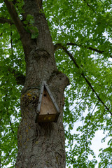 Wooden birdhouse hanging on a tree