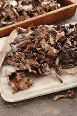 fresh uncooked mushrooms