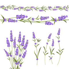 Naklejka premium Set of lavender flowers elements. Botanical illustration. Collection of lavender flowers on a white background. Vector illustration bundle.