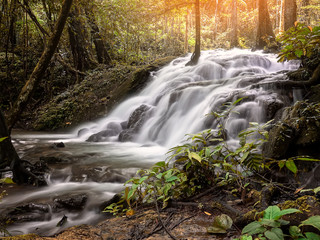 Naklejka na ściany i meble Beautiful waterfall in tropical forest at National Park