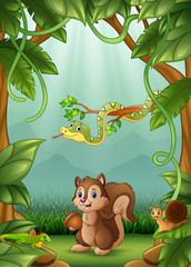 The animals happy an activity in jungle
