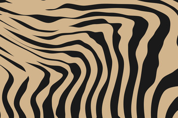 Close up Stripe Animal Pattern