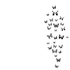 isolated, silhouette of a butterfly flying, postcard