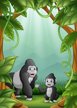 The gorilas happy an activity in jungle