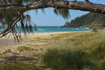 Australian Coastline Charlesworth Bay Coffs Harbour