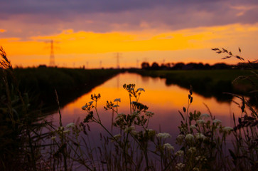 Obraz premium Dutch landscape