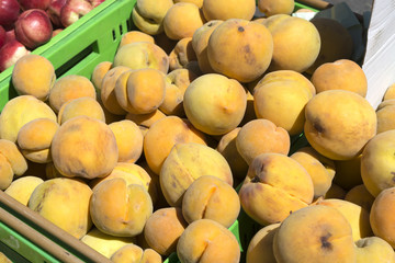 Fresh fruts at the local farmers market