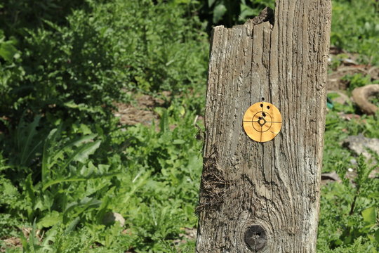 BB Gun target
