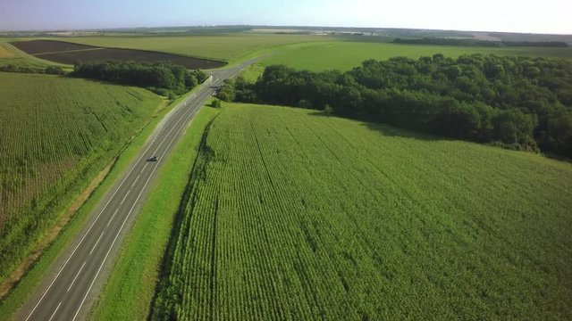AERIAL: flight over a road. Landscape panorama.