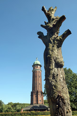 volkspark jungfernheide