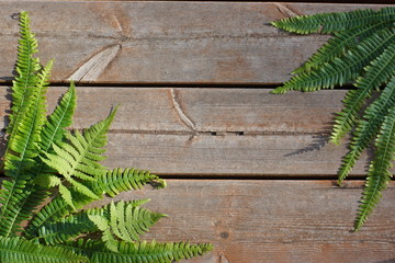 floral ornament of fern leaves on wooden boards