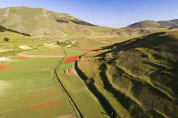 Flying on Castelluccio di Norcia, between ruins and bloom of flowers
