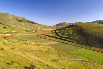 Flying on Castelluccio di Norcia, between ruins and bloom of flowers
