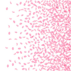 Sakura petals falling down. Romantic pink silky small flowers. Thick flying cherry petals. Right gra