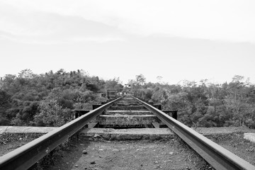 Obraz premium old wood railroad train transportation landscape black and white