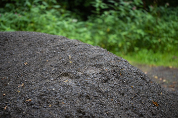 loser Kies im Wald