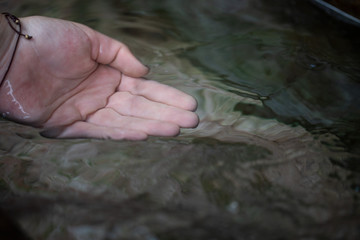 Hand in klares Wasser getaucht
