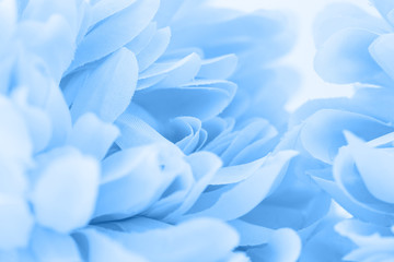 Beautiful blue flowers made with color filters, soft color and blur style for background