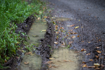 Matschige Autospur im Wald