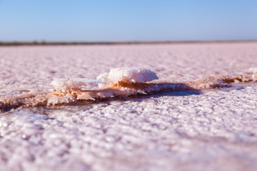 Pink salt lake