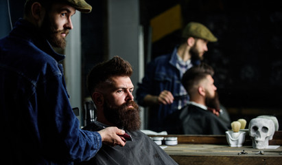 Hipster with beard covered with cape serving by professional barber in stylish barbershop. Grooming concept. Barber busy with grooming beard of hipster client, mirror reflexion on background