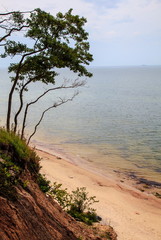 Seaside landscape