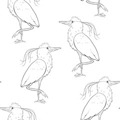 seamless pattern South American kvakva heron bird.  illustration