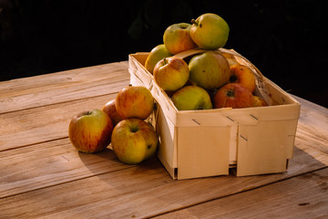 Äpfel aus dem Garten