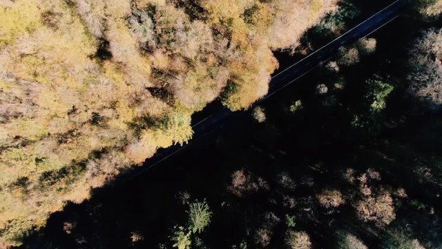 Aerial -Esteribar Valley, Eugi, Navarre, Spain on autumm.