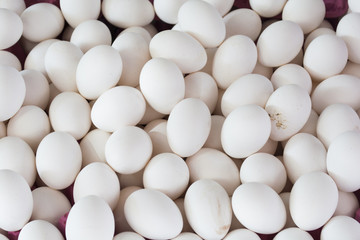 Home grown organic eggs. Fresh and hot eggs