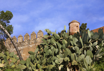 Alcazaba fortress in Malaga. Spain