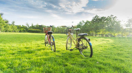 Obraz premium Bicycle on green grass at public park.