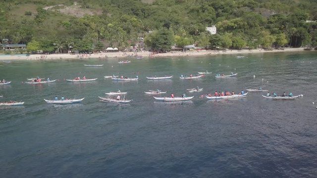 This video from above shows the whale shark tourism business in Oslob Phillipinnes. Tourist are taken on boats to Whale Sharks being fed by another boat.