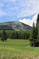 Fototapeta na wymiar Mountains in the summer.