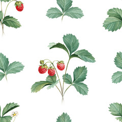 Watercolor illustration of strawberry bush. Seamless pattern