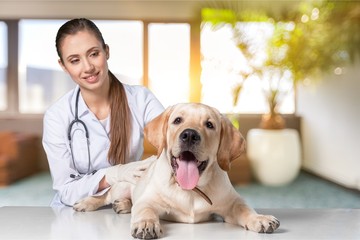 Beautiful young veterinarian with a dog