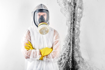 A professional disinfector in overalls processes the walls from mold. Removal of black fungus in...