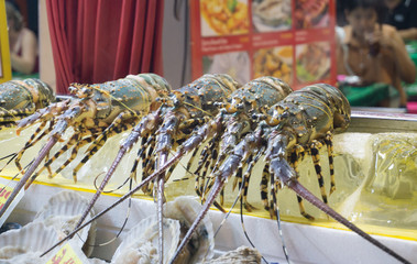 Fresh raw shrimp in night market, Thailand.