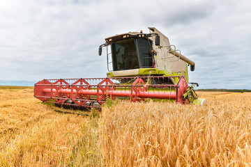 Fototapeta premium moissonneuse en action