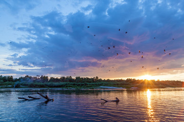 Fototapeta premium beautiful sunset over the river