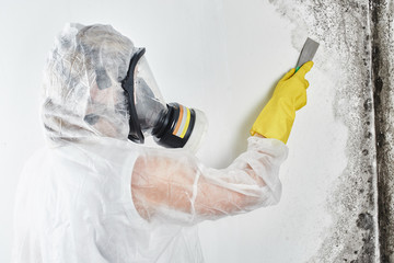 A professional disinfector in overalls processes the walls from mold with a spatula. Removal of...