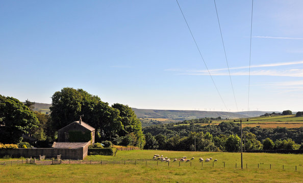 sheep grazing in a meadow next to an old stone farmhouse with forest trees and pennine hills in the distance in the yorkshire dales